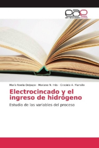 Könyv Electrocincado y el ingreso de hidrogeno María Noelia Delpupo