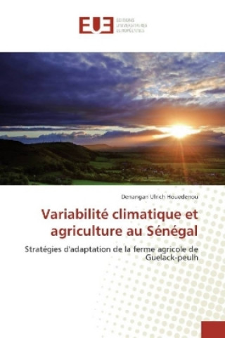 Kniha Variabilité climatique et agriculture au Sénégal Denangan Ulrich Houedenou