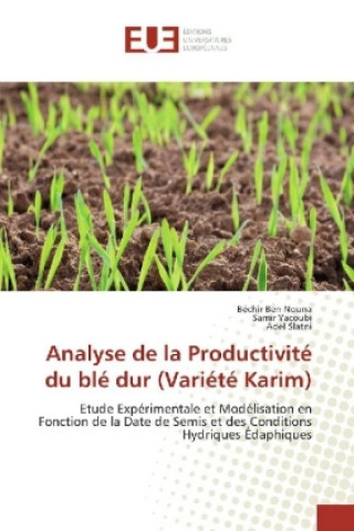 Kniha Analyse de la Productivité du blé dur (Variété Karim) Béchir Ben Nouna