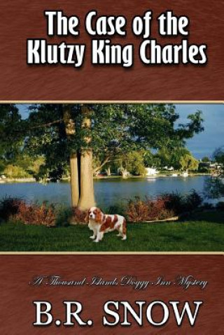 Книга The Case of the Klutzy King Charles B R Snow