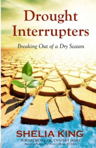 Knjiga Drought Interrupters: Breaking Out of a Dry Season Shelia King