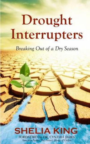 Βιβλίο Drought Interrupters: Breaking Out of a Dry Place Shelia King