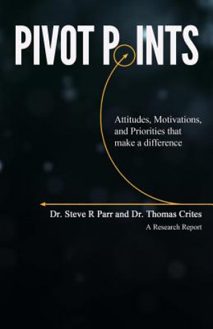 Książka Pivot Points: Attitudes, Motivations, and Priorities That Make a Difference Dr Steve R Parr