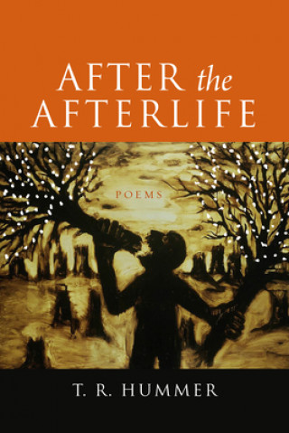 Boek After the Afterlife - Poems T.R. Hummer
