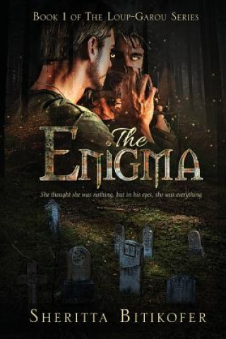 Könyv The Enigma Sheritta Bitikofer