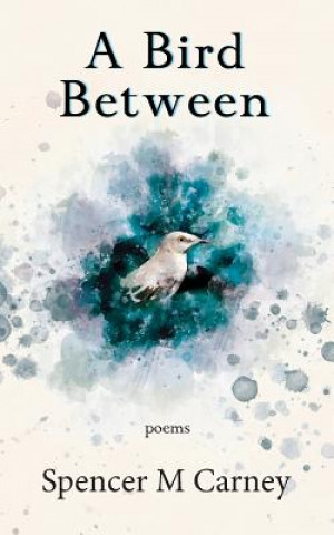 Книга A Bird Between Spencer M Carney