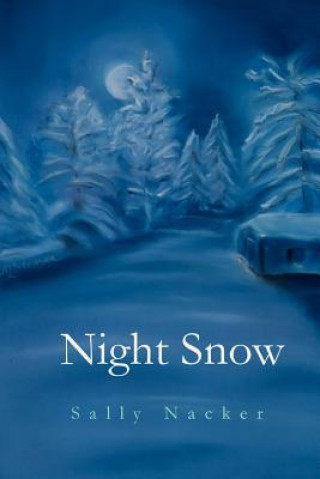 Kniha Night Snow Sally Nacker