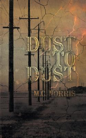 Kniha Dust To Dust M C Norris