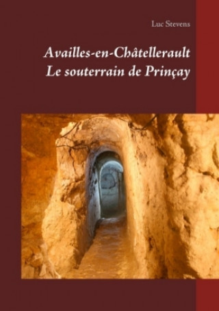 Boek Le souterrain de Prinçay Luc Stevens
