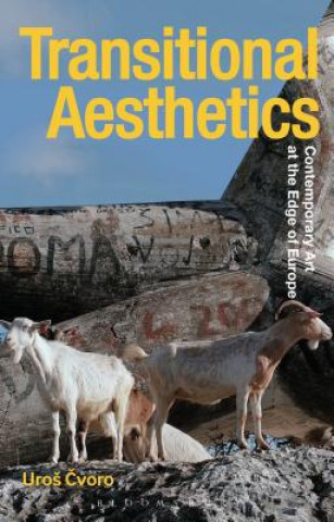 Kniha Transitional Aesthetics Uros Cvoro