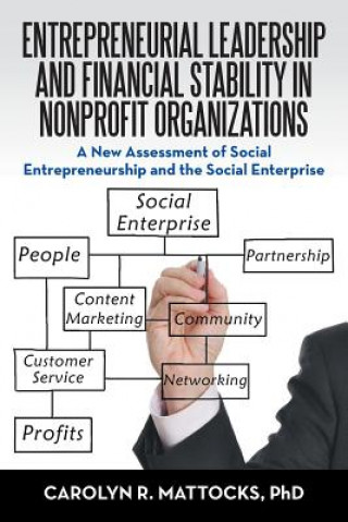 Книга Entrepreneurial Leadership and Financial Stability in Nonprofit Organizations PHD CAROLY MATTOCKS