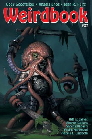 Kniha Weirdbook #37 DOUG DRAA