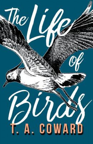 Carte Life of Birds T. A. COWARD