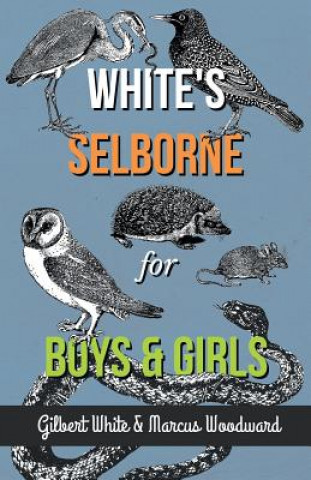 Książka White's Selborne for Boys and Girls GILBERT WHITE