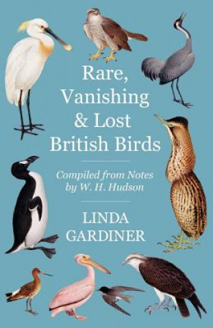 Carte Rare, Vanishing and Lost British Birds LINDA GARDINER
