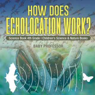 Kniha How Does Echolocation Work? Science Book 4th Grade Children's Science & Nature Books BABY PROFESSOR