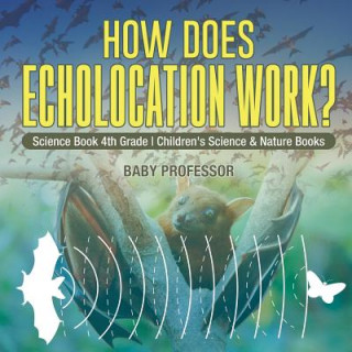 Libro How Does Echolocation Work? Science Book 4th Grade Children's Science & Nature Books BABY PROFESSOR