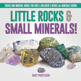 Carte Little Rocks & Small Minerals! Rocks And Mineral Books for Kids Children's Rocks & Minerals Books BABY PROFESSOR