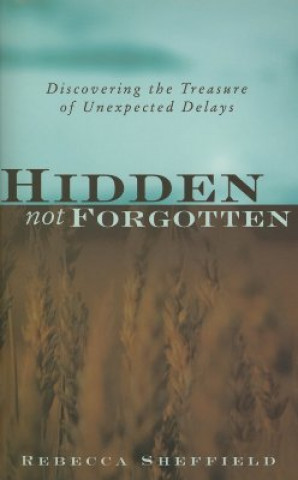 Kniha Hidden, Not Forgotten REBECCA SHEFFIELD