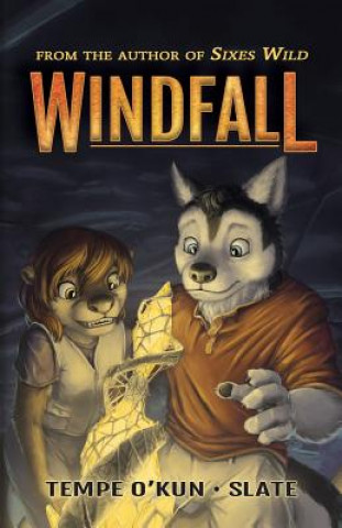 Книга Windfall TEMPE O'KUN