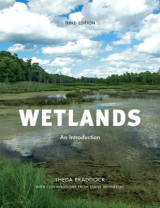 Kniha Wetlands Theda Braddock