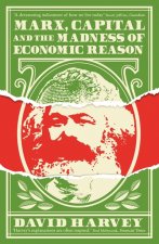 Könyv Marx, Capital and the Madness of Economic Reason David Harvey