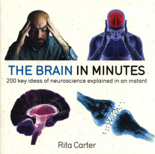 Kniha The Brain in Minutes Rita Carter
