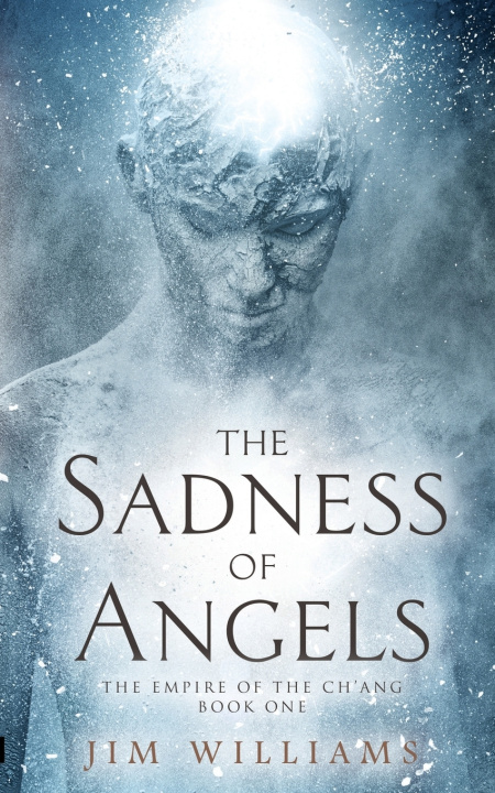 Boek Sadness of Angels Jim Williams