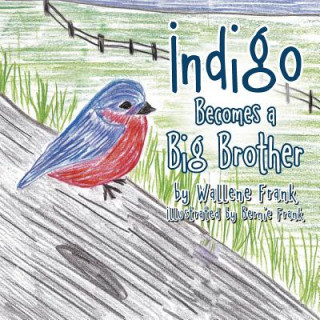 Libro Indigo Becomes a Big Brother WALLENE FRANK