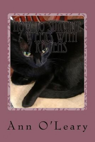 Book How to Survive 7 Weeks with 7 Kittens: Blackie, Cutie's Kitty, Grows Up and Has Her Own Kitties Ann M O'Leary