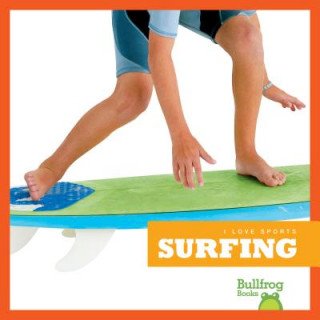 Kniha Surfing Erika S Manley