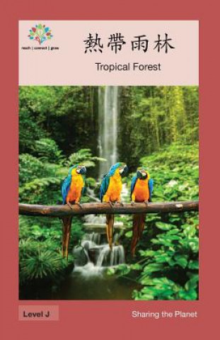 Buch &#29105;&#24118;&#38632;&#26519;: Tropical Forest Washington Yu Ying Pcs