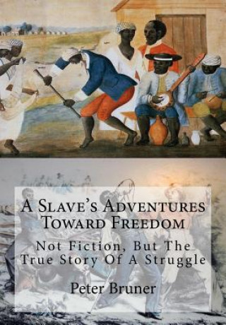 Carte A Slave's Adventures Toward Freedom: Not Fiction, But The True Story Of A Struggle Peter Bruner