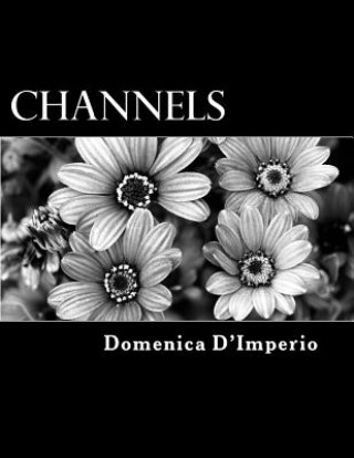 Libro Channels Domenica D'Imperio