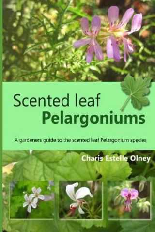 Kniha Scented leaf pelargoniums: A gardeners guide to the scented leaf pelargonium species Charis Estelle Olney