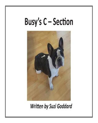 Knjiga Busy's C - Section Suzi Goddard