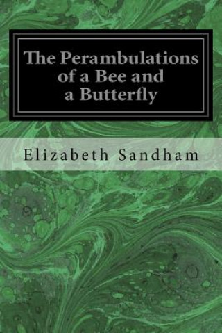 Buch The Perambulations of a Bee and a Butterfly Elizabeth Sandham