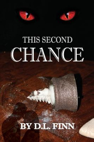 Book This Second Chance D L Finn