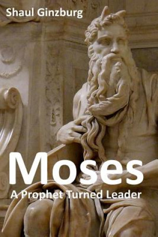 Kniha Moses: A Prophet Turned Leader Mr Shaul Ginzburg