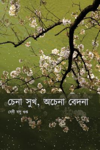 Boek Chena Sukh, Ochena Bedona Baby Basu Gupta