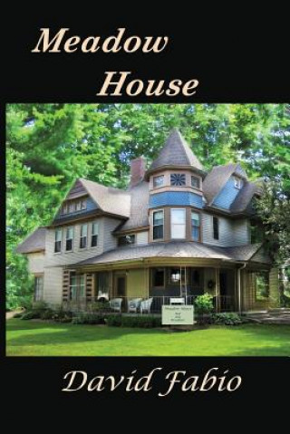 Knjiga Meadow House David Fabio