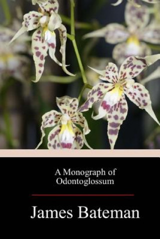 Kniha A Monograph of Odontoglossum James Bateman