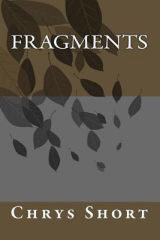 Knjiga Fragments Mrs Chrys Ann Short