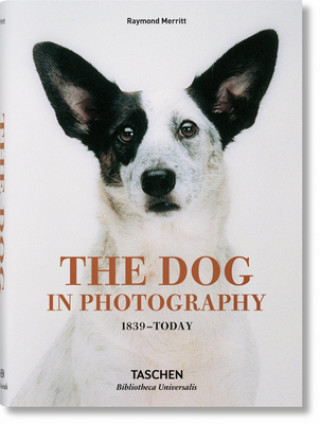 Książka The Dog in Photography Raymond Merritt
