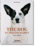 Carte The Dog in Photography Raymond Merritt