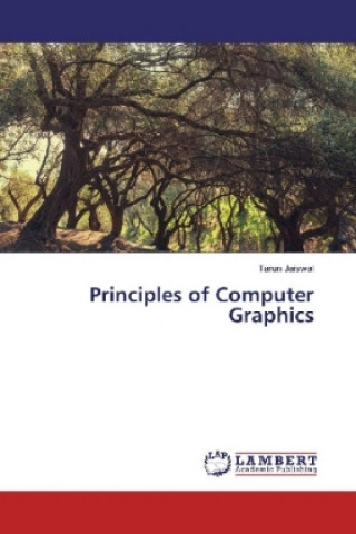 Βιβλίο Principles of Computer Graphics Tarun Jaiswal