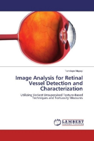 Könyv Image Analysis for Retinal Vessel Detection and Characterization Temitope Mapayi