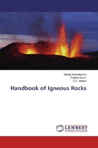 Knjiga Handbook of Igneous Rocks Neeraj Vishwakarma