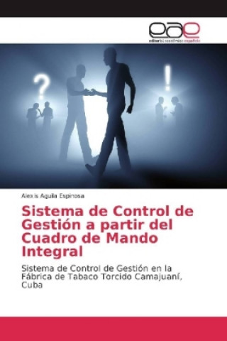 Könyv Sistema de Control de Gestion a partir del Cuadro de Mando Integral Alexis Aguila Espinosa