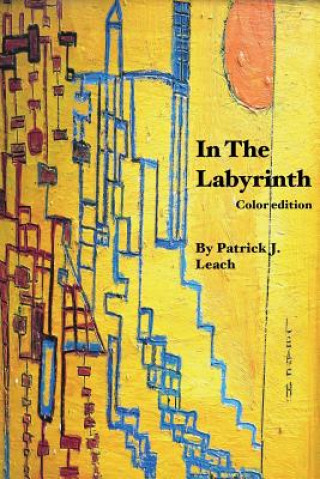 Kniha In The Labyrinth MR Patrick J Leach